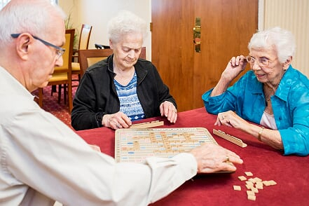 Healthy Hobby Ideas for Seniors
