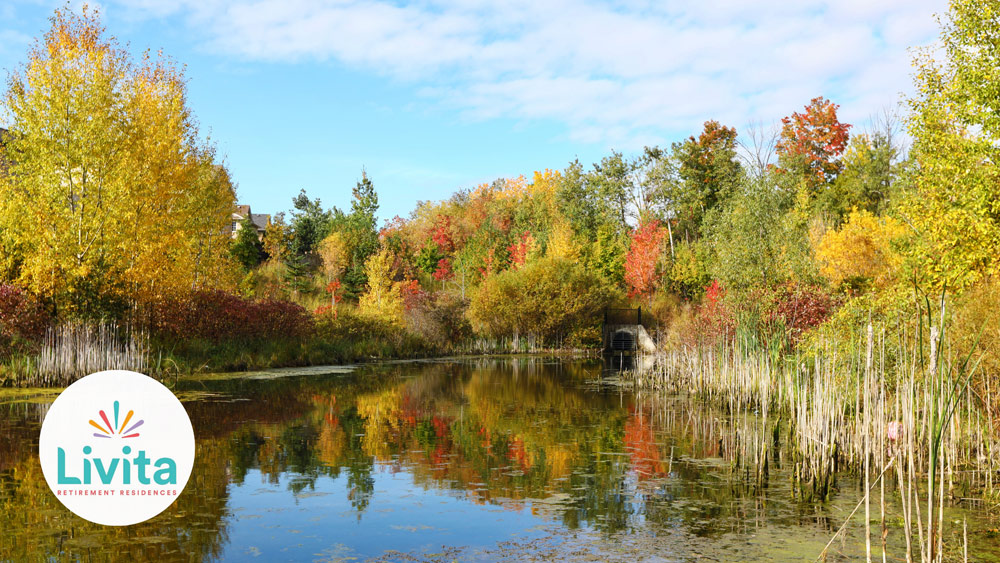 Fall Foliage of Ontario