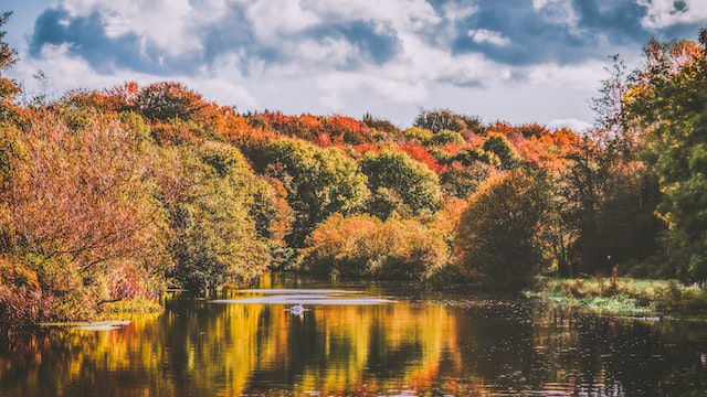 Popular Spots for Fall Foliage in Pickering