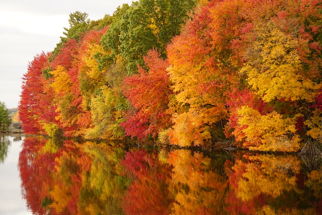 Popular Spots for Fall Foliage in Belleville